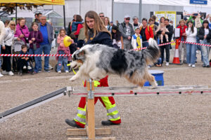 Für alle etwas dabei. Hundeschau auf dem Maimarkt in Mannheim